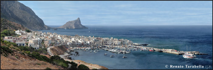 Image Alt Text