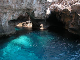 Image Alt Text