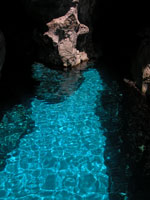 Image Alt Text