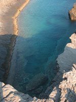 Image Alt Text