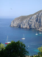 Image Alt Text