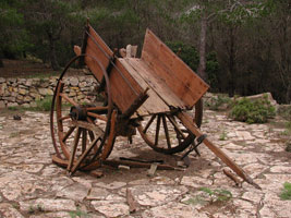 Image Alt Text