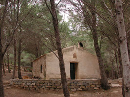 Image Alt Text